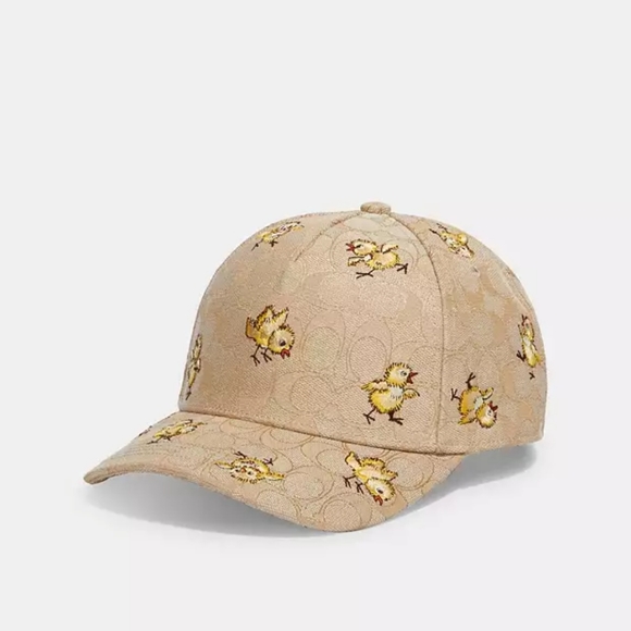 Coach hat - Picture 1 of 10